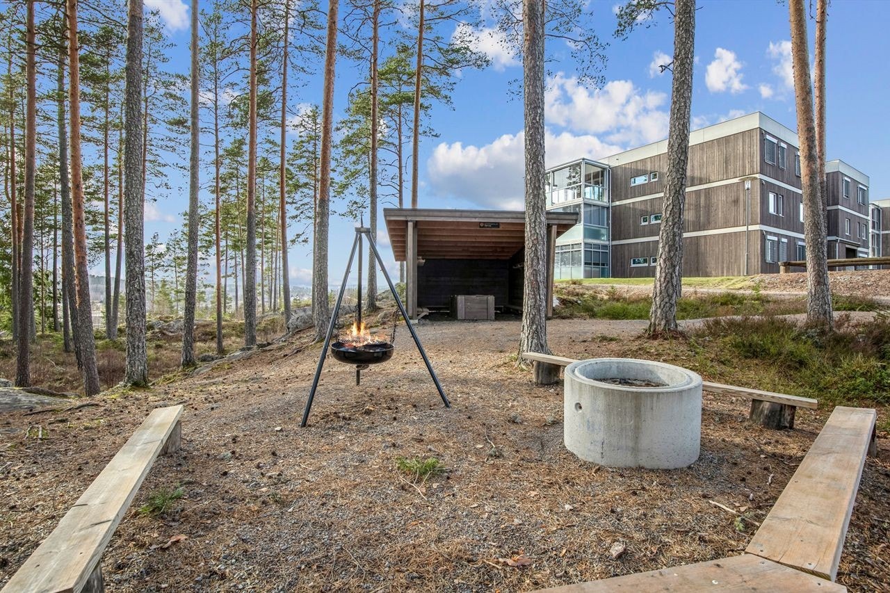 Nærområdet byr på muligheter for uteaktiviteter! Galleribilde