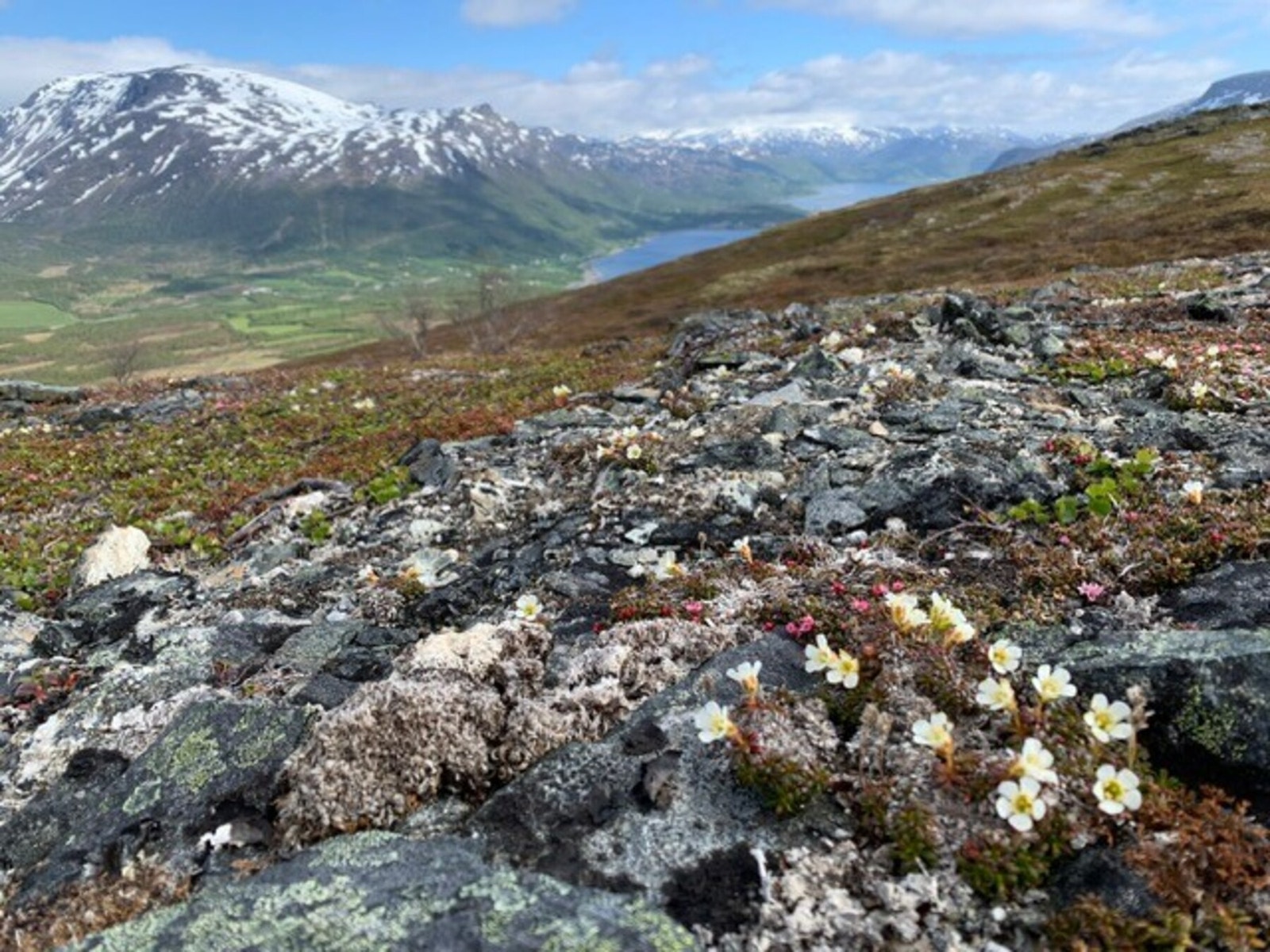 Rundfjellet - Kan skimte Tappeluft i det fjerne Galleribilde