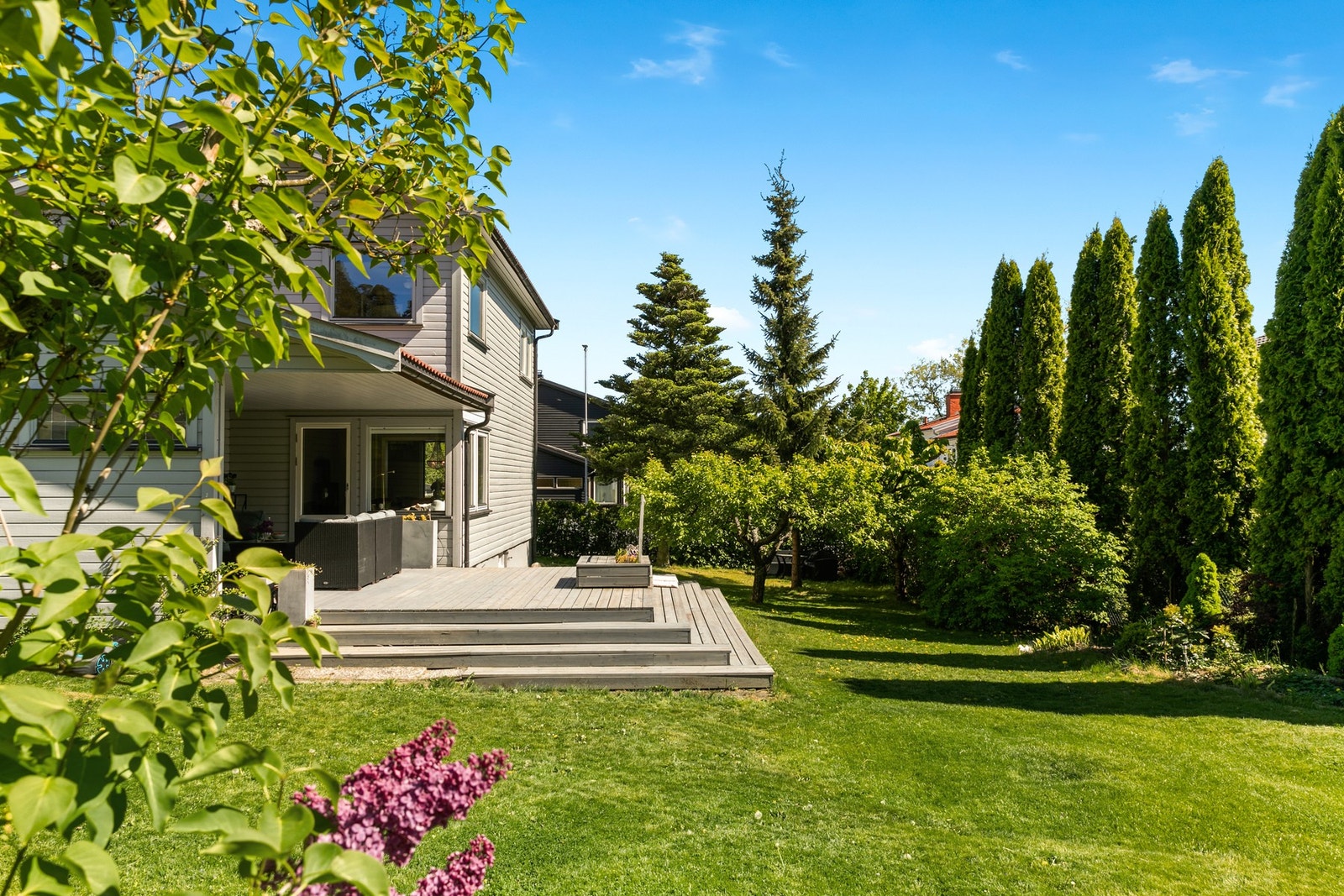 Frodig hage med flere frukttrær og stor gressplen. Galleribilde