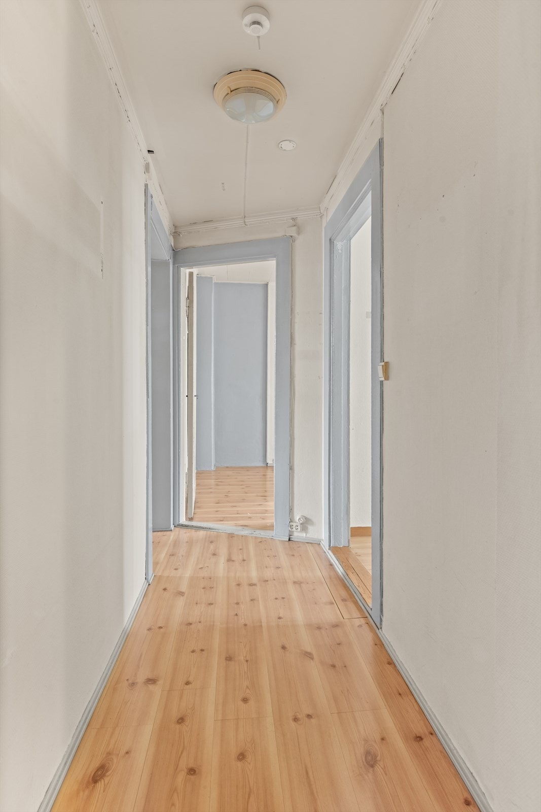 Entre/gang. Galleribilde