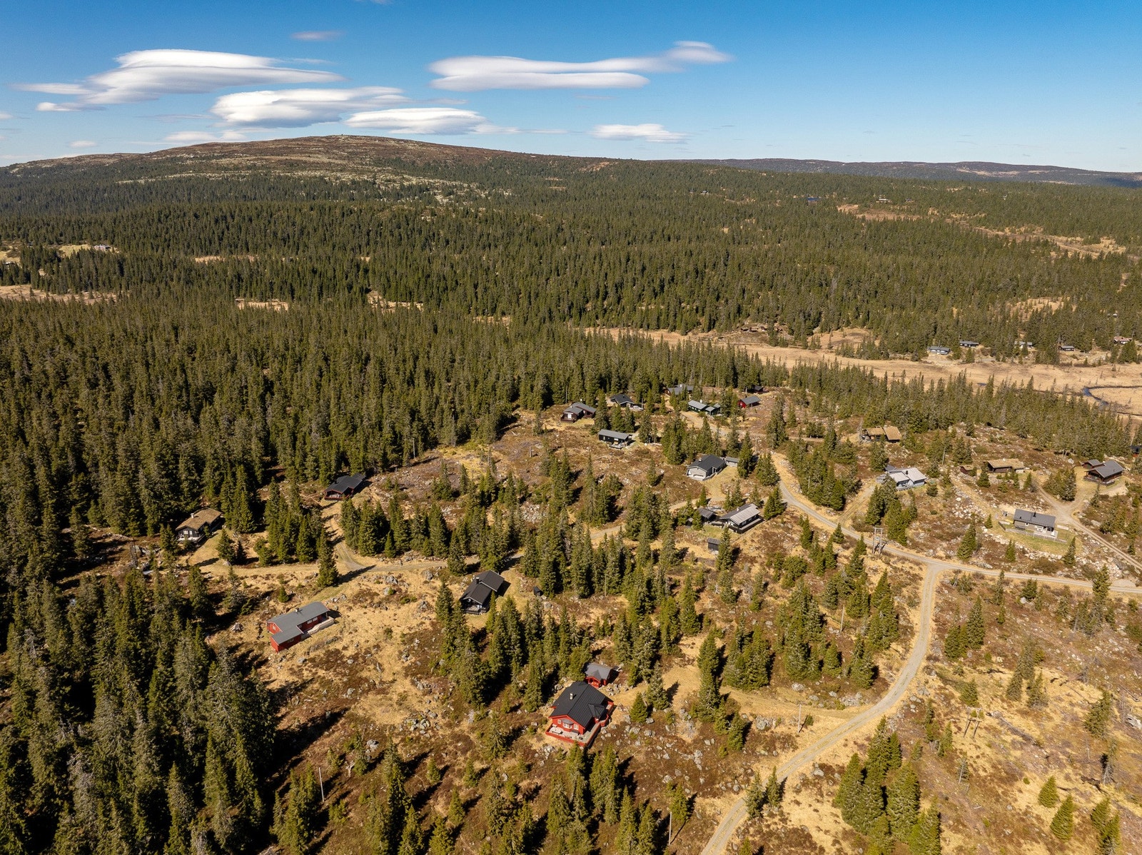 Gode bussforbindelser opp til Nordseter fra Lillehammer sentrum og med egen bil er det ca 15 min kjøring. Galleribilde