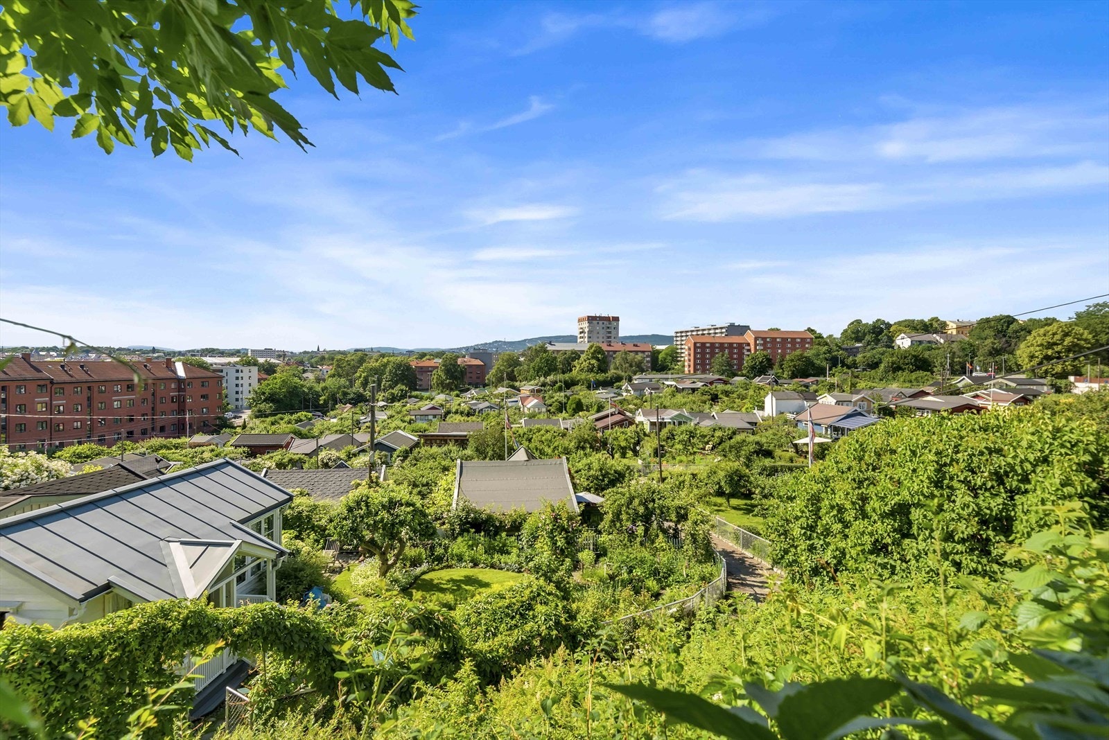 Rodeløkkens Kolonihager Galleribilde