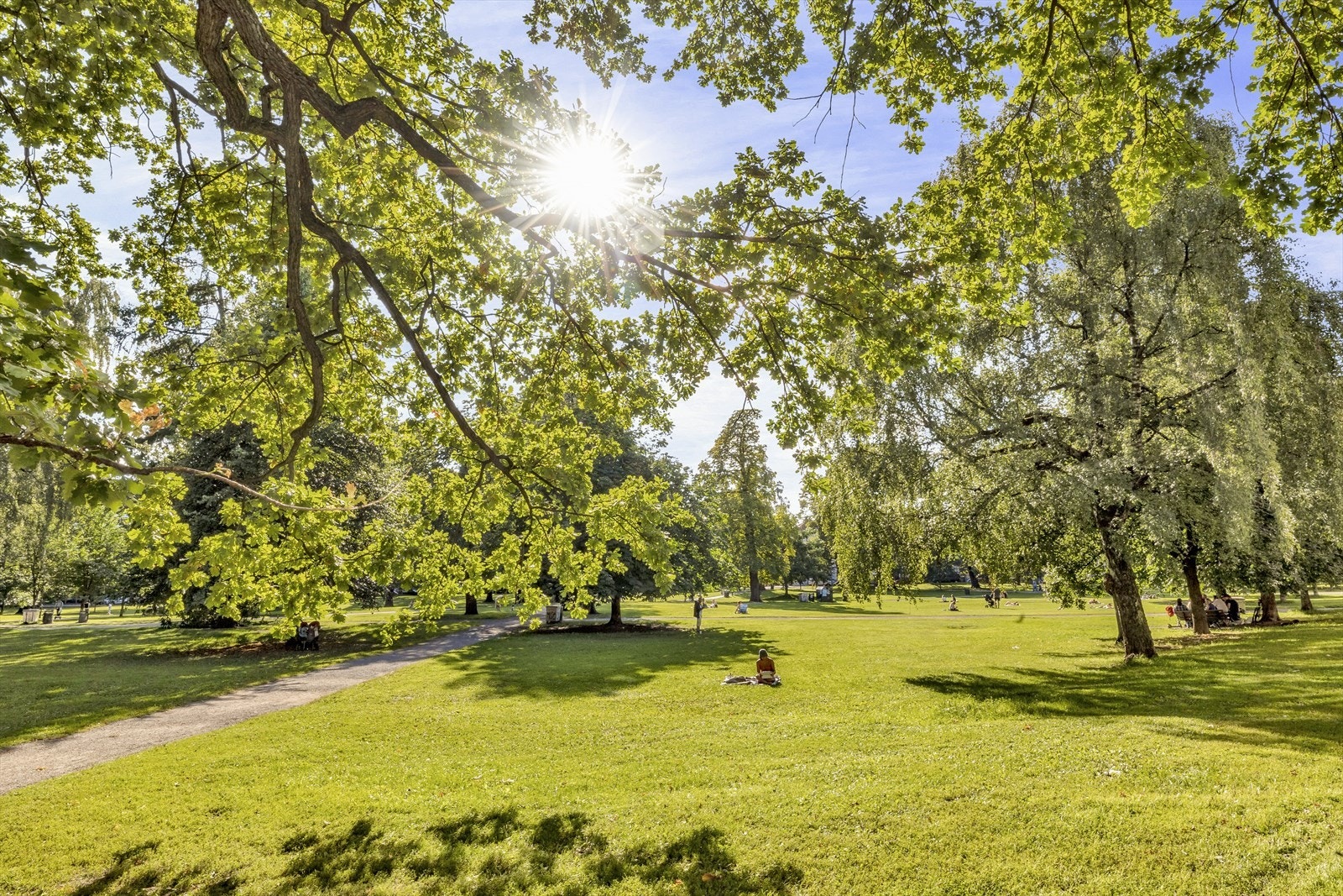 Sofienbergparken ligger rett ved leilighet. Her finner man stor gressplen, trær, lekeplasser m.m. Galleribilde