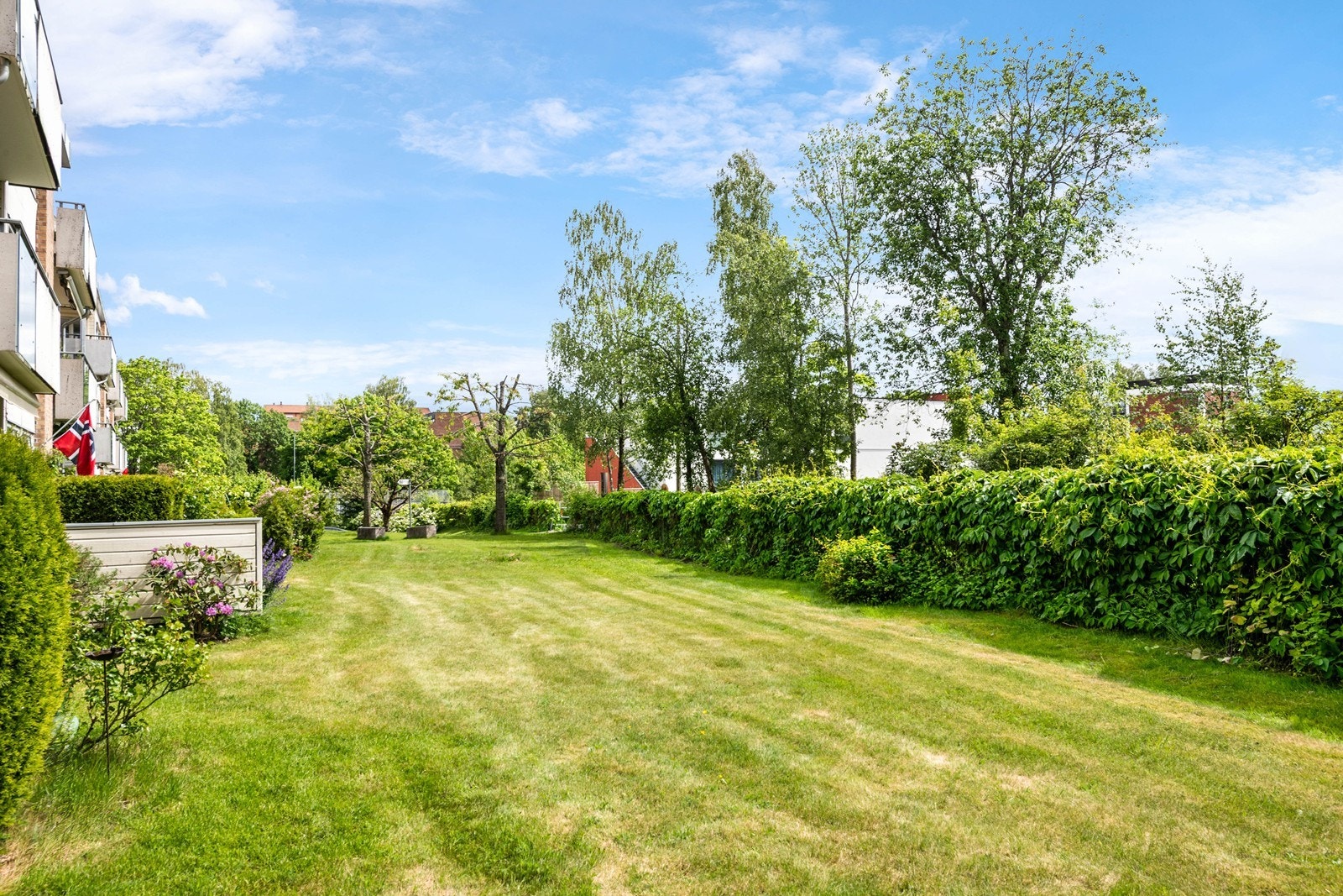 Solrik felleshage i sameie Galleribilde
