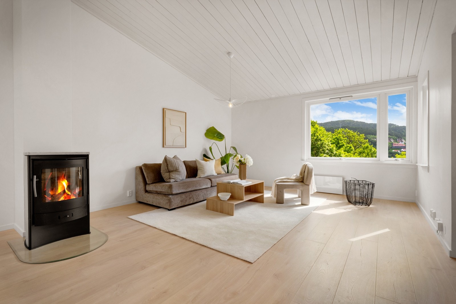 Stue med rentbrennende peisovn og god plass til en skikkelig loungegruppe. Galleribilde