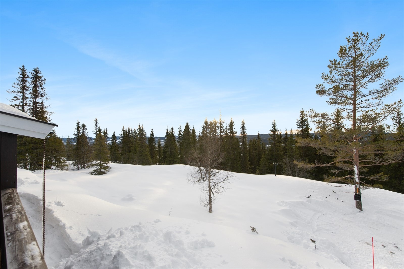 Fin natur utsikt. Galleribilde