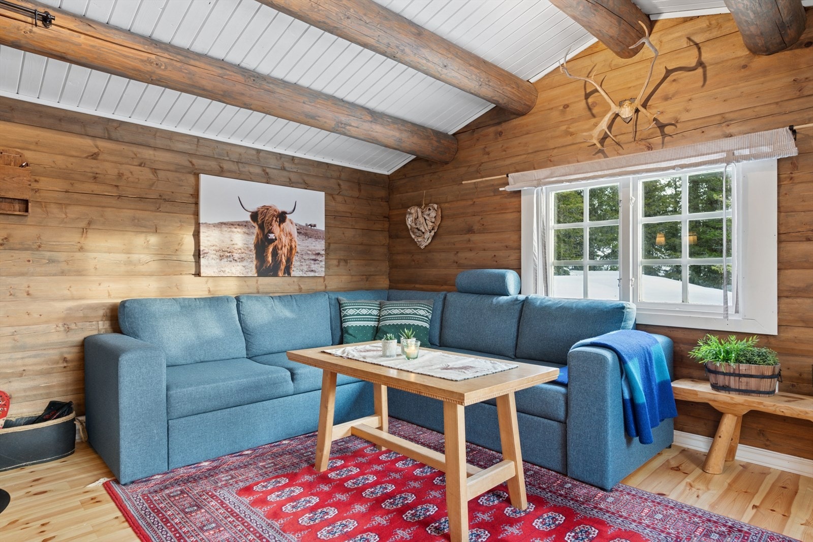 Koselig stue med synlige åser i himling. Galleribilde