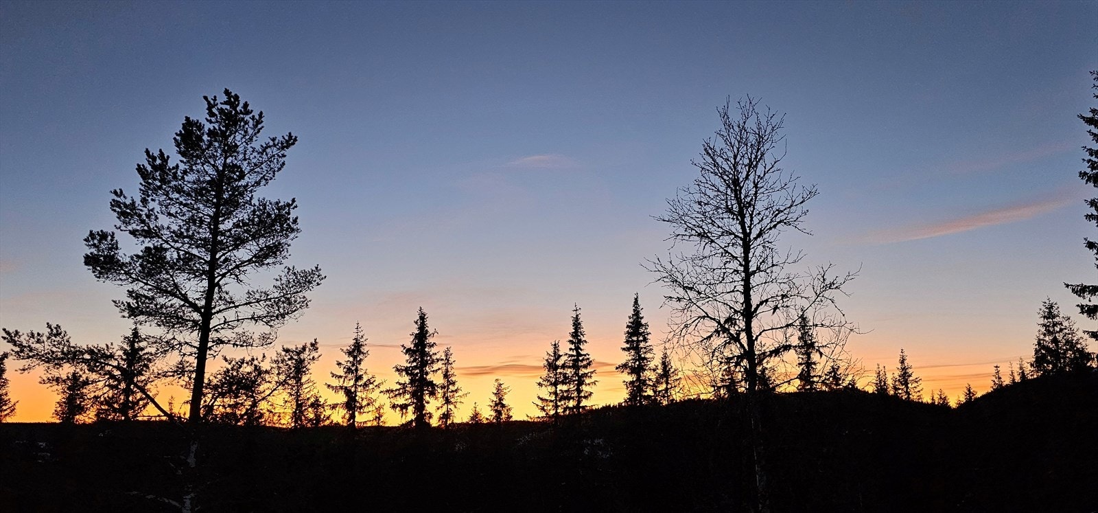 Eiers private bilde Galleribilde