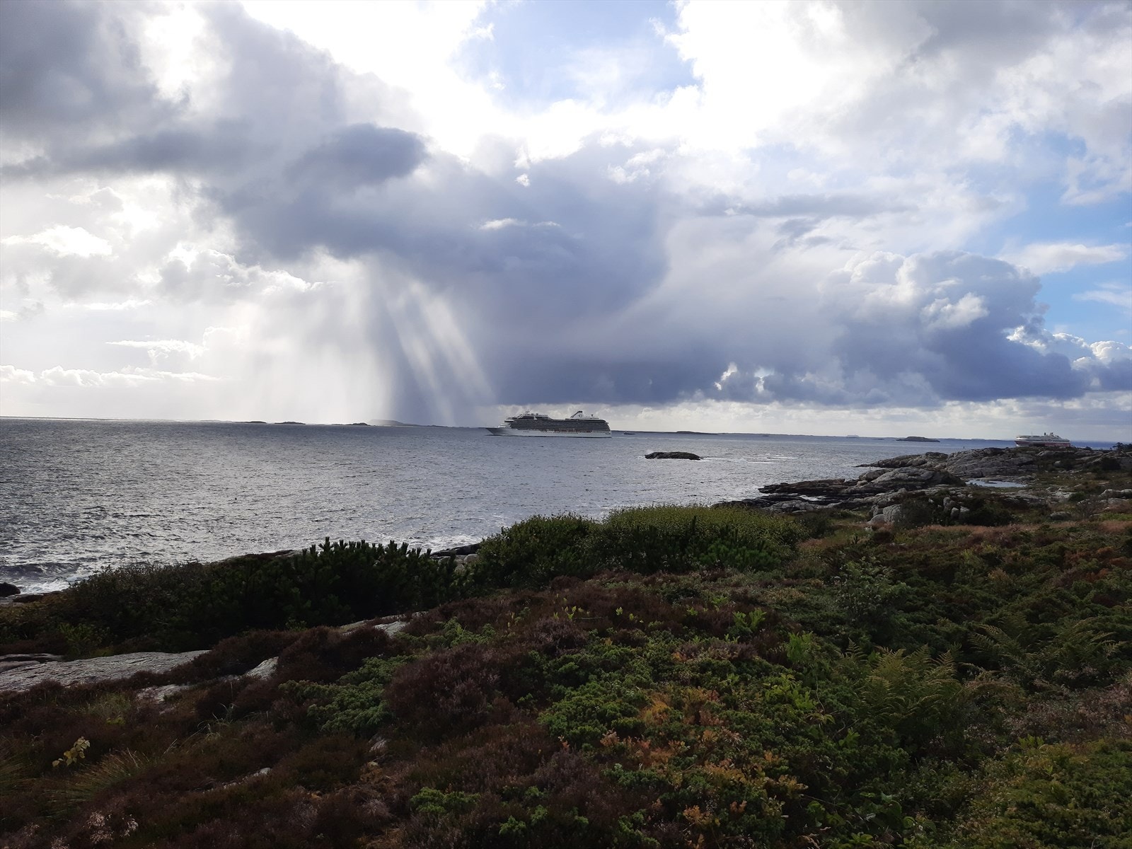 Private bilder Galleribilde