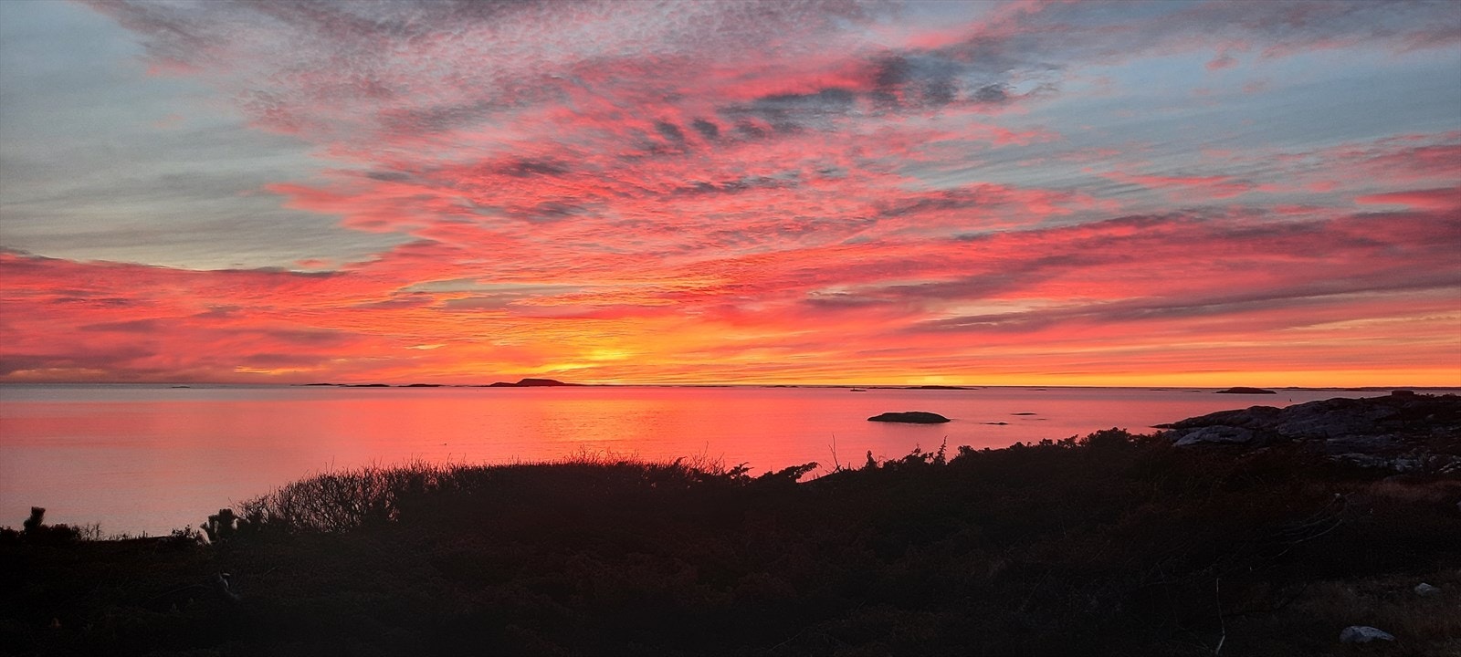 Private bilder Galleribilde