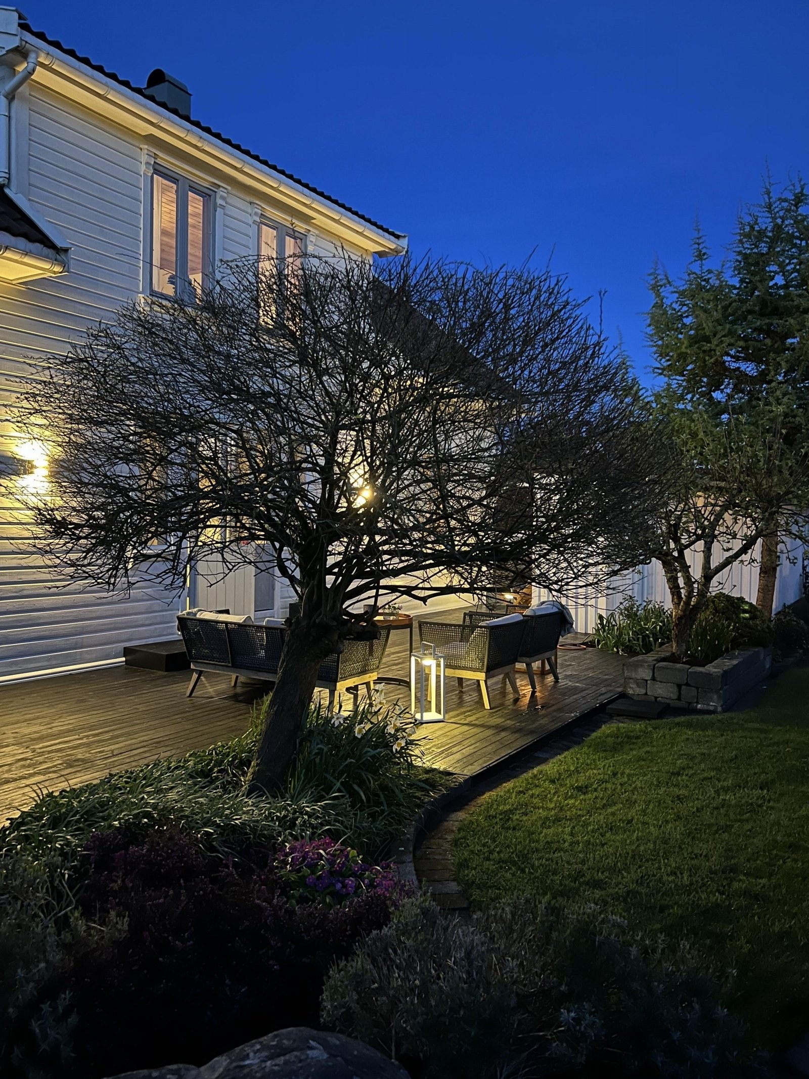 Kveldsbilde | Fasade Galleribilde