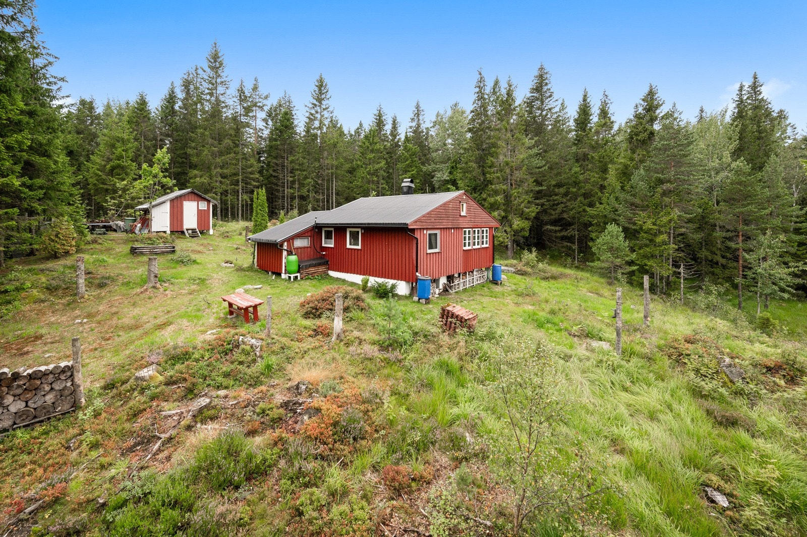 Skjermet idyll og sjarmerende hytte som er perfekt for den naturglade - her er det mer enn nok plass for liten og stor å boltre seg på! Galleribilde