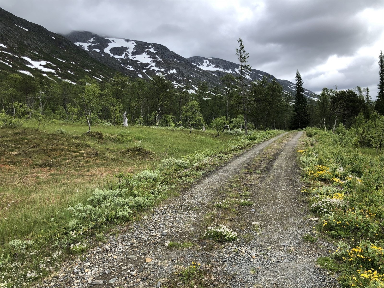 Selgers bilde fra området Galleribilde