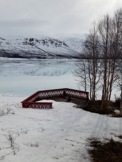 Vinterbilde tatt av selger Galleribilde
