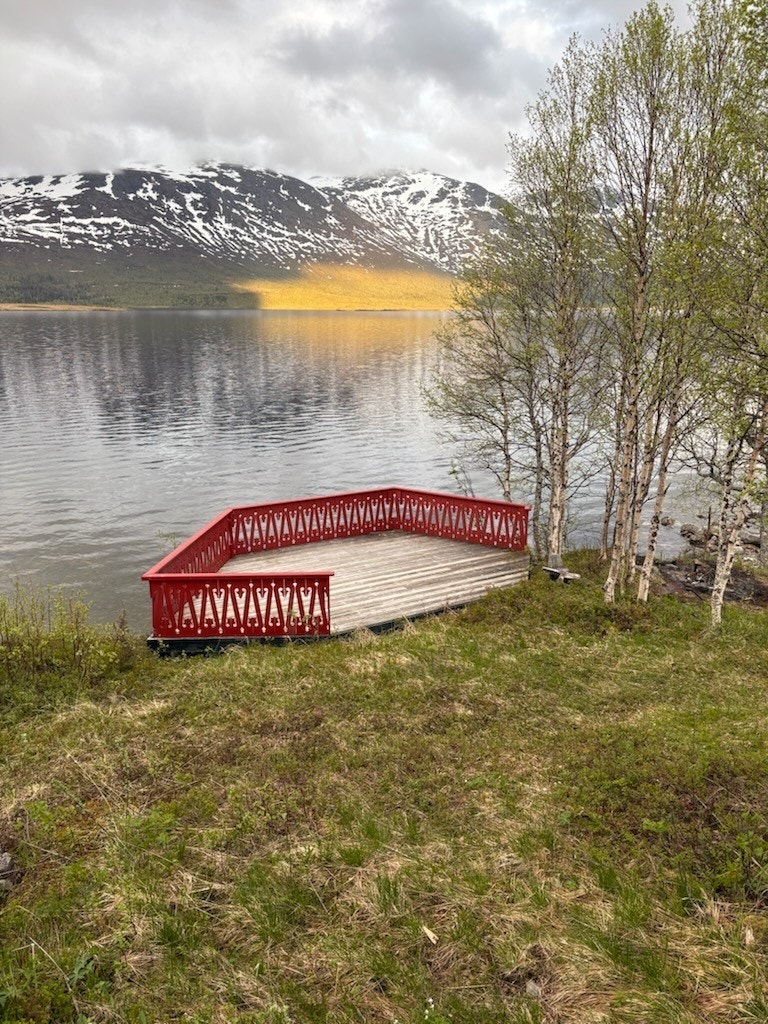 Selgers vårbilde Galleribilde