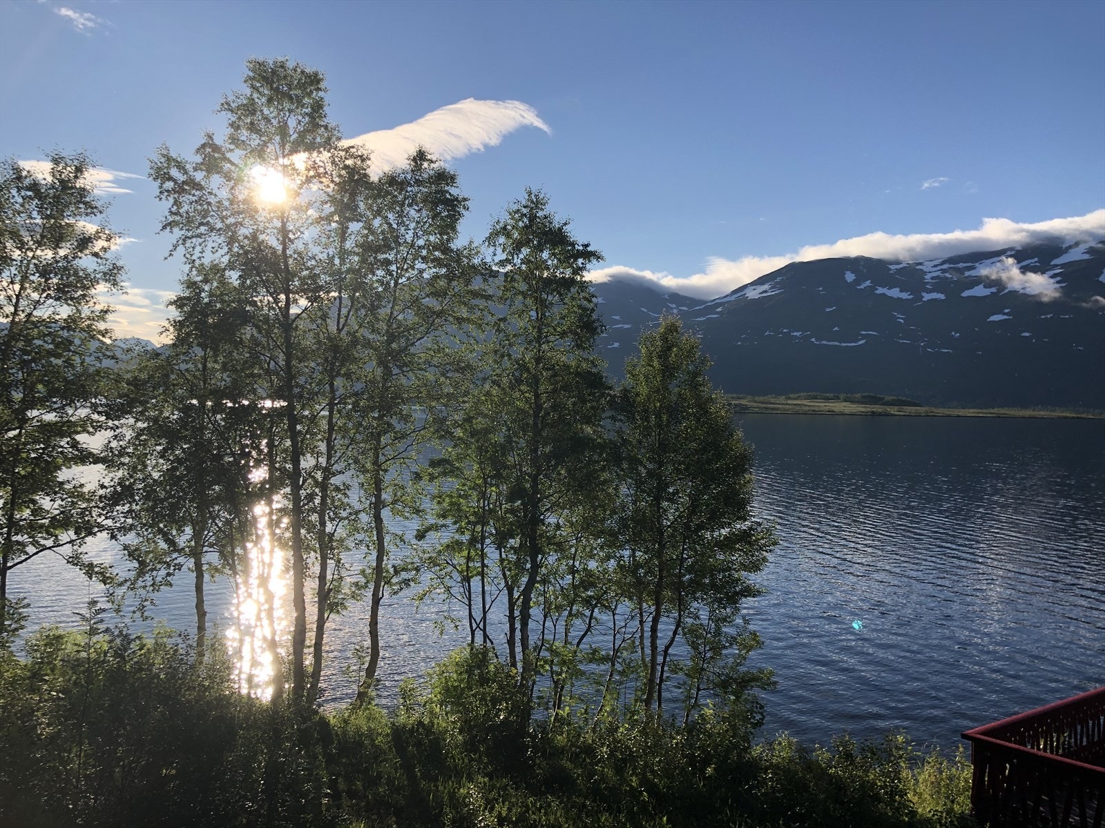 Selgers bilde Galleribilde