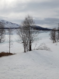 Vinterbilde fra selger Galleribilde