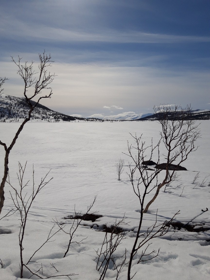 Selgers vinterbilde fra området Galleribilde