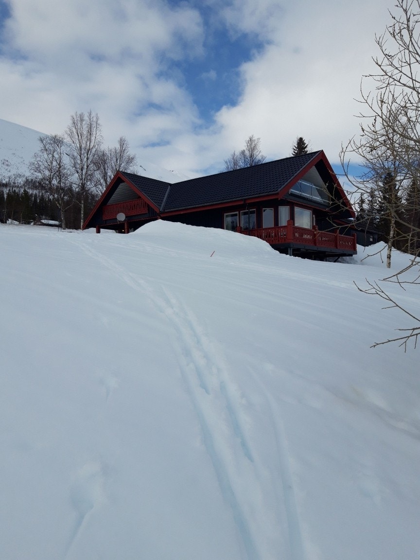 Vinterbilde fra selger Galleribilde