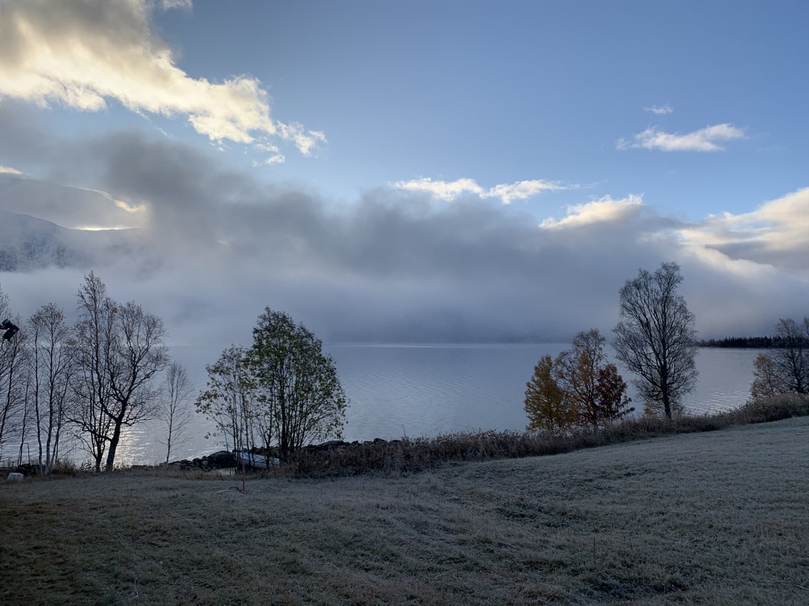 Vinterbilde med utsikt Galleribilde