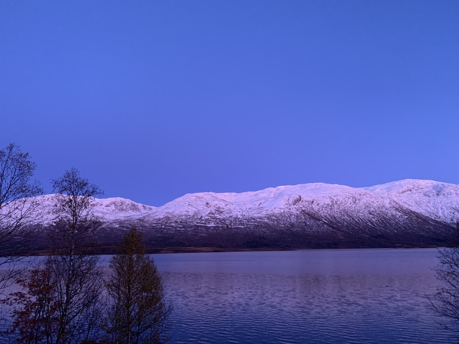 Kveldsbilde Galleribilde