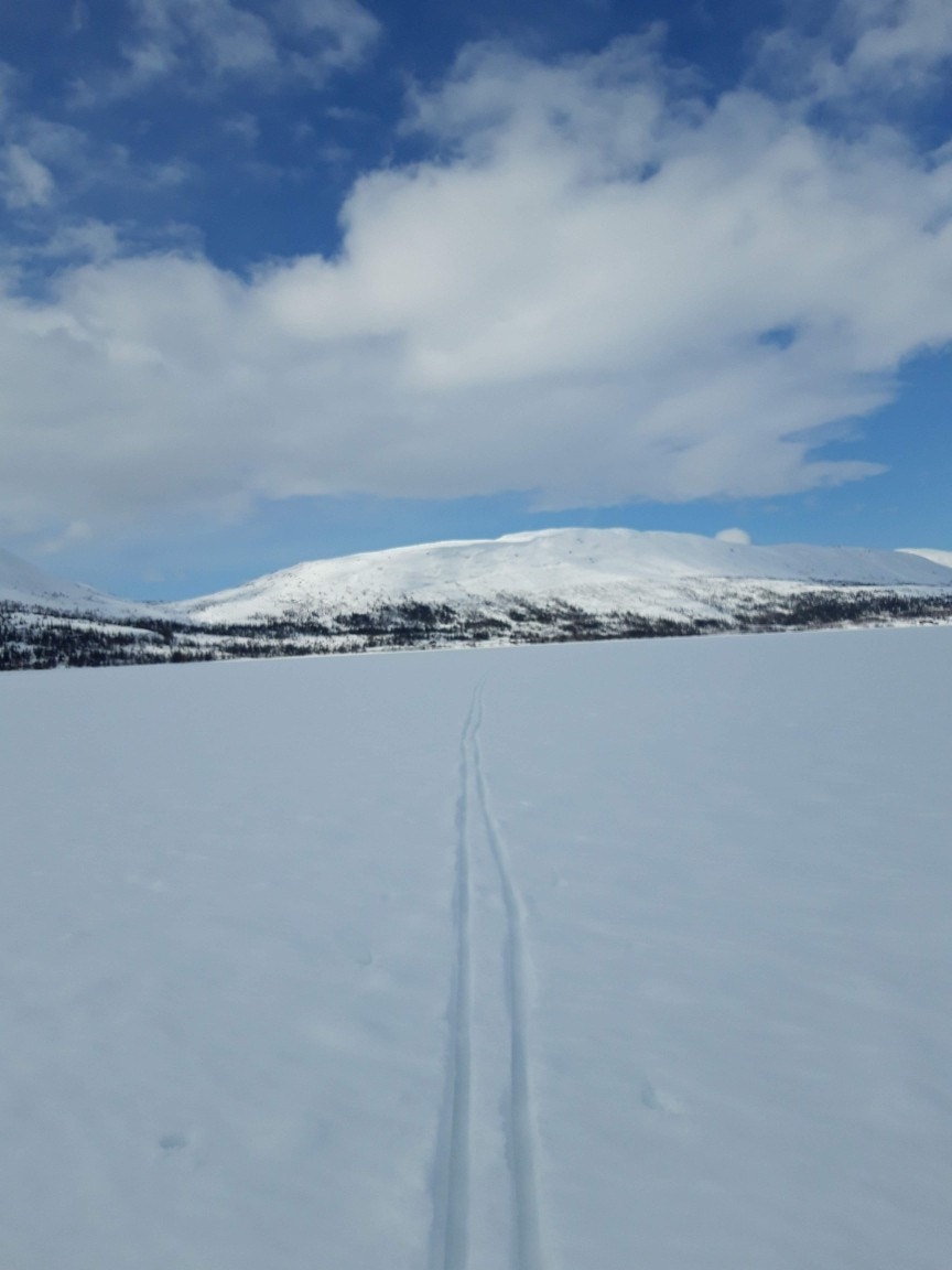 Selgers vinterbilde Galleribilde