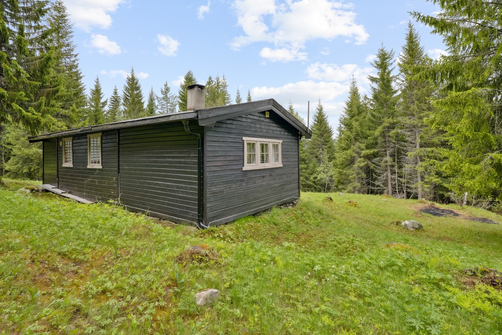 Velkommen til en hyggelig visning. Galleribilde