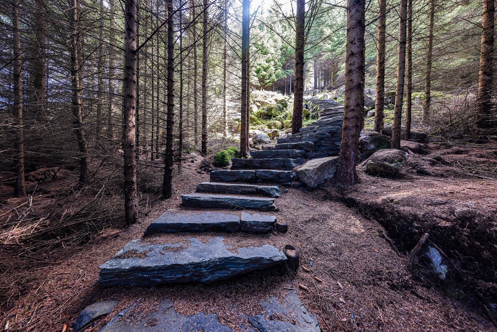 Berre nokre minutt frå hytta finn ein Hakalletrappa, ei flott naturoppleving gjennom trollsk skog og høgt til fjells Galleribilde
