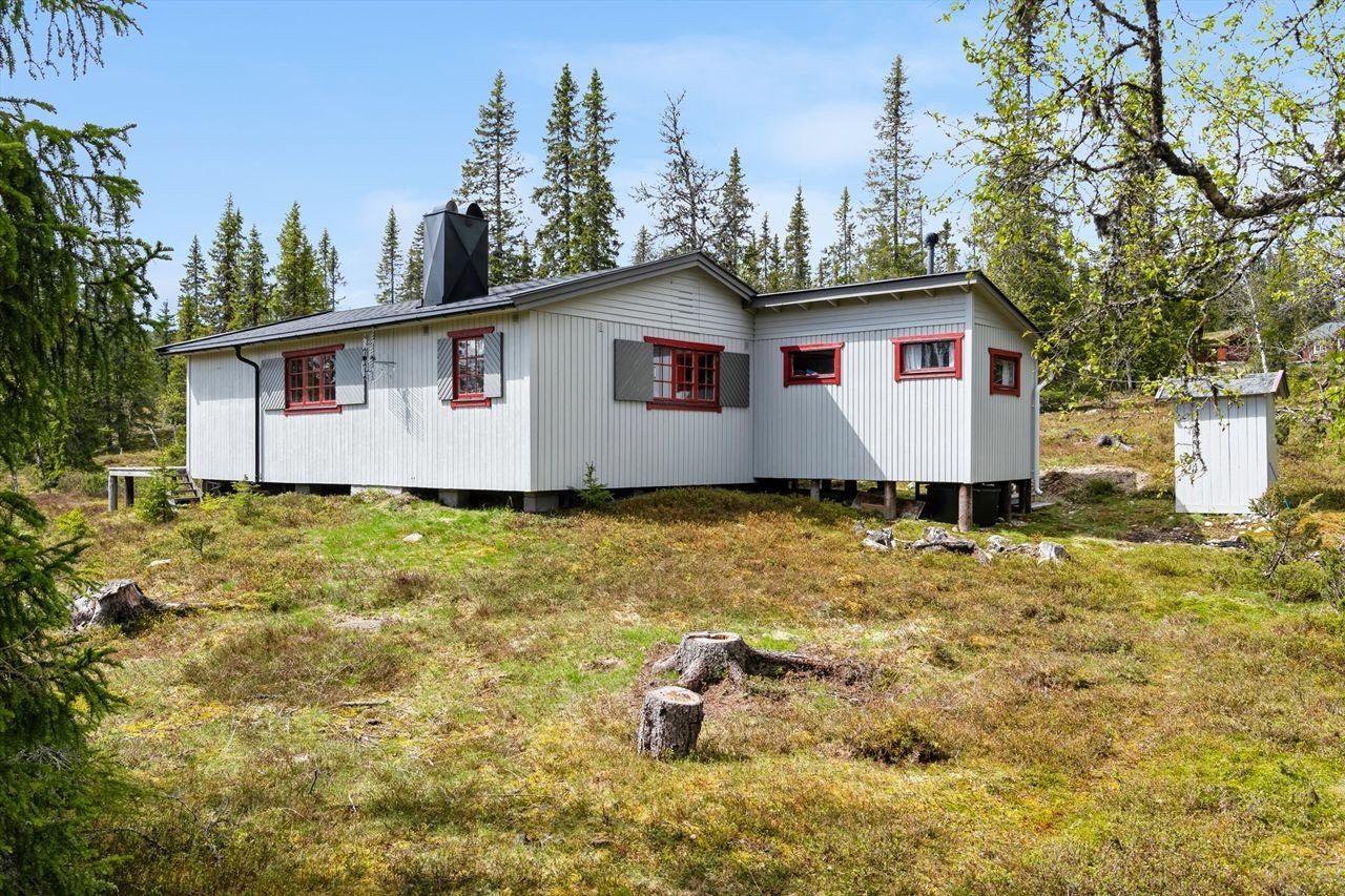 Hytta ligger vakkert til ved foten av Bittermarka Galleribilde