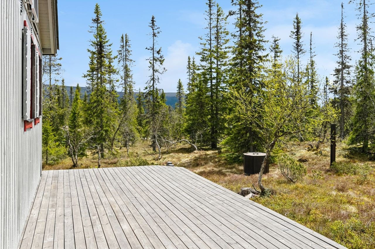 Solrik terrasse med direkte adkomst til vakkert fjellterreng Galleribilde
