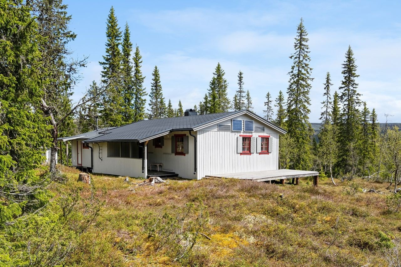 Velkommen til Bittermarkvegen 1805! Galleribilde