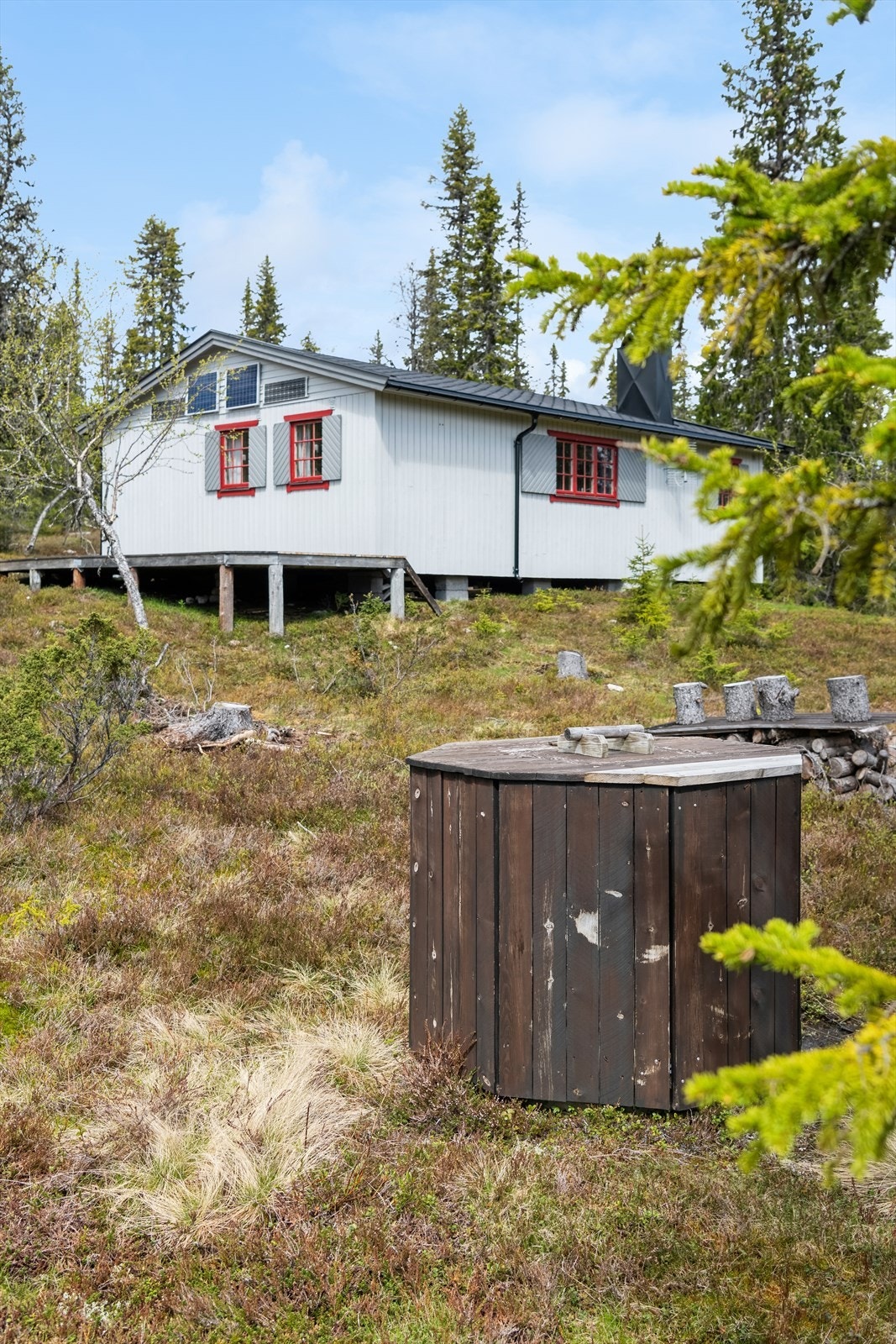 Naturtomt med stedegen vegetasjon Galleribilde