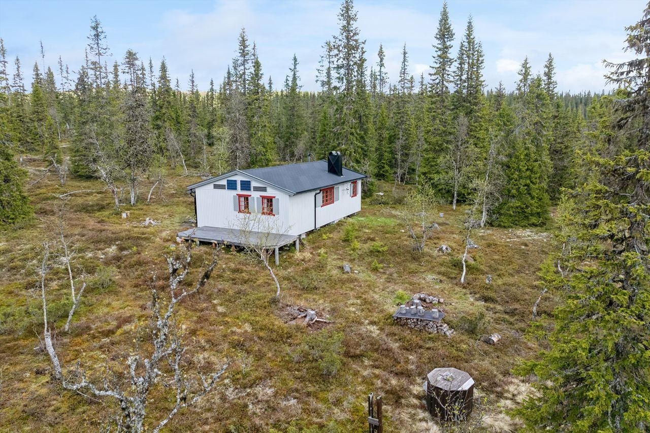 Kort vei fra hytta til meget fine turområder i Bittermarka, om du velger til fots, på ski eller på sykkel Galleribilde