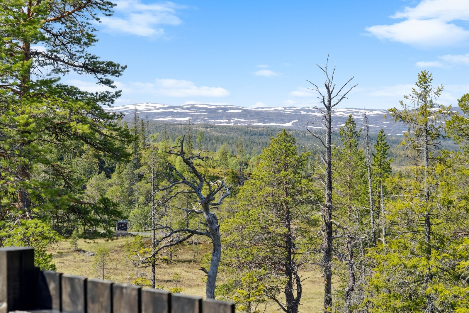 Fra terrassen kan du nyte fantastisk utsikt med landlige omgivelser. Galleribilde