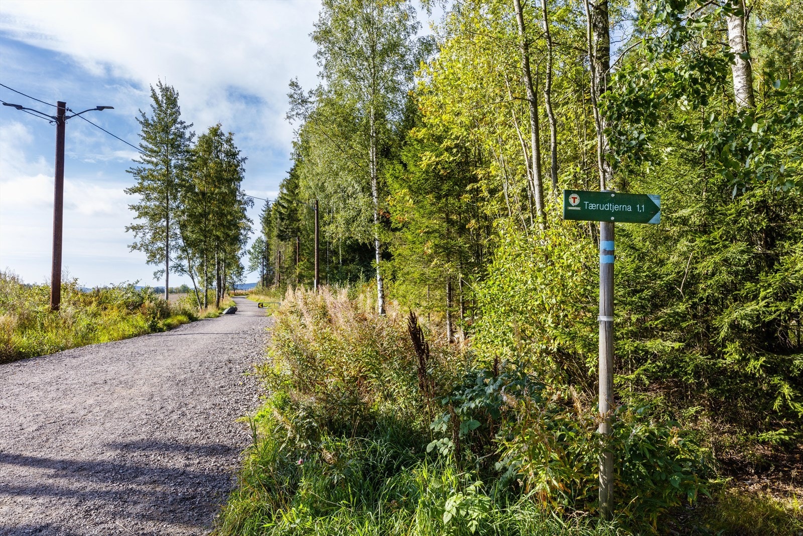 Ikke langt unna finner man også flotte turmuligheter som brukes året rundt Galleribilde
