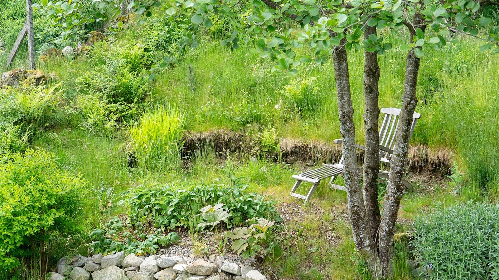 Sett deg ned, nyt - og la tiden stå stille et øyeblikk ... Galleribilde