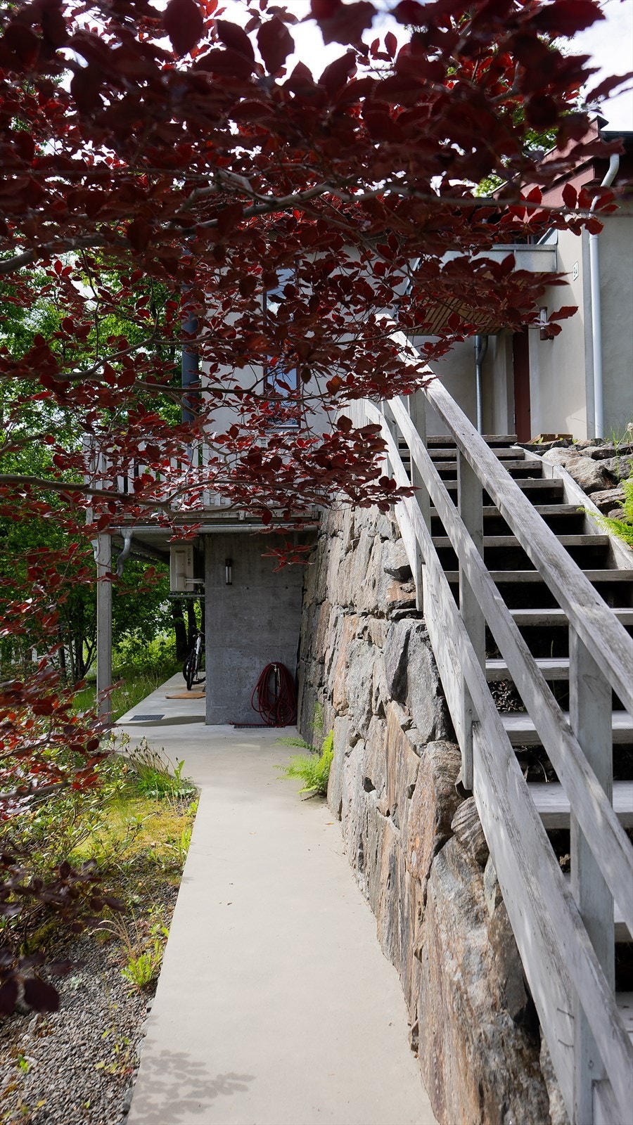 DSC03094.jpg Galleribilde