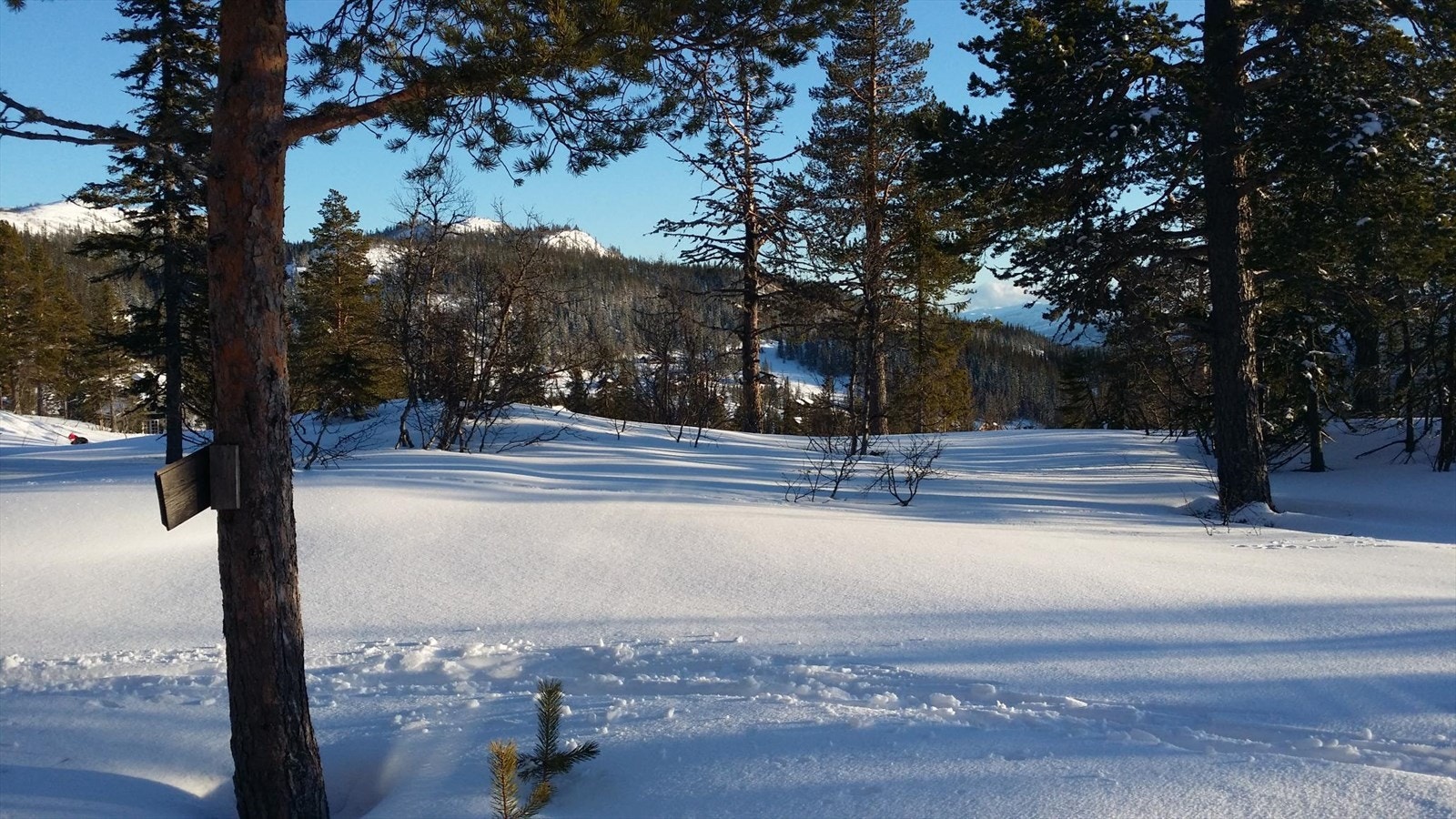 - Privat bilde fra selger - Galleribilde