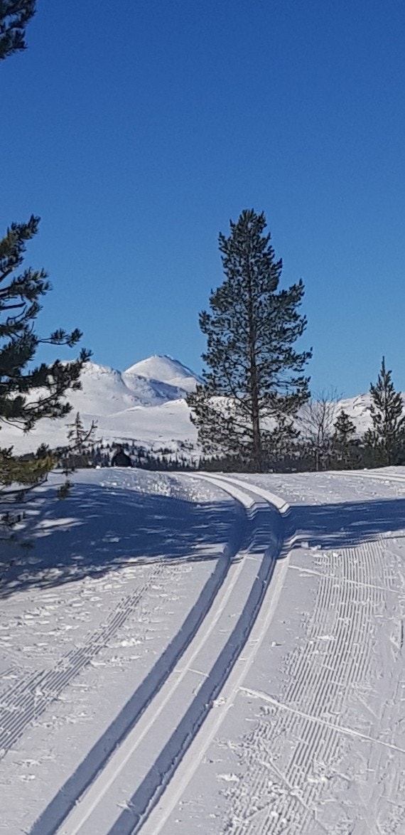 - Privat bilde fra selger - Galleribilde