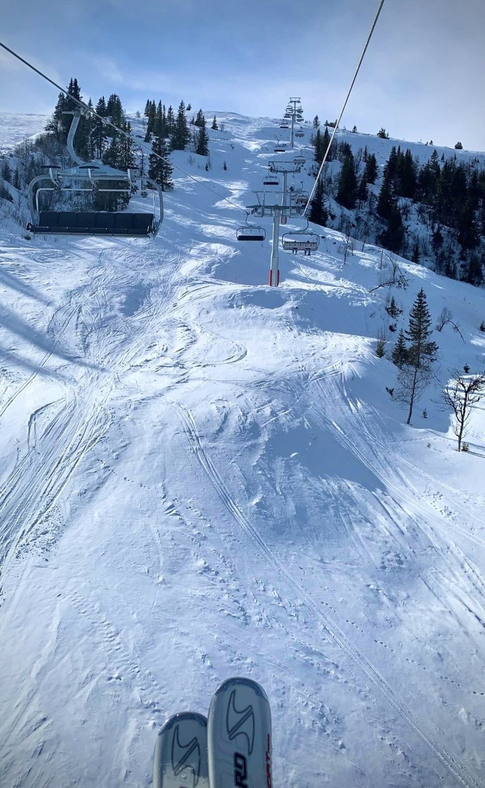 Selgers bilde fra Bualie. Galleribilde