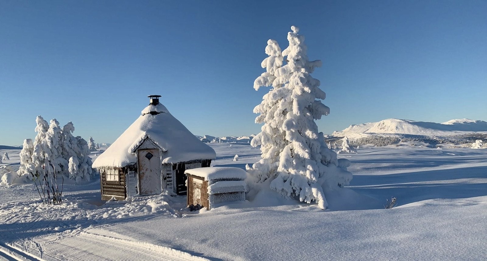 Langrennsløypene går rett bak hytta så her er det ski inn/ski ut. Galleribilde