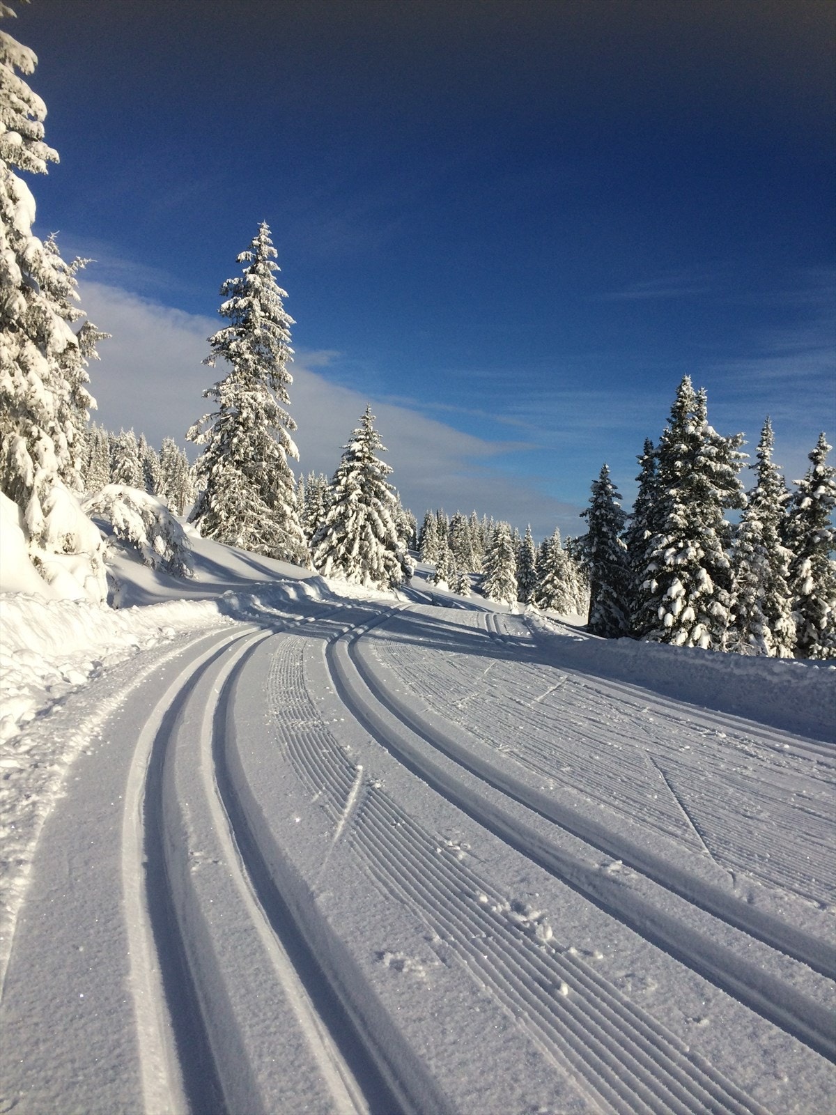 På Golsfjellet kan du gå 20 mil innover fjellet i preparerte skiløyper! Galleribilde