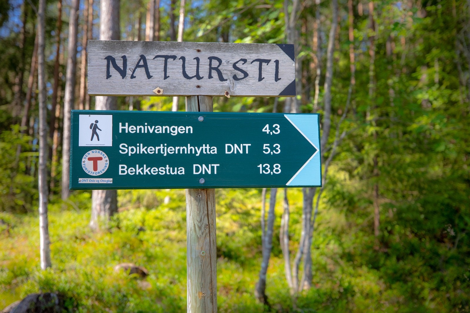 Kort vei til helårs turterreng for hele familien. Lysløype ca. 400 meter fra boligen. Galleribilde