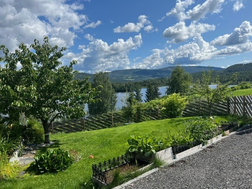 Stor hage med masse beplantning. Galleribilde