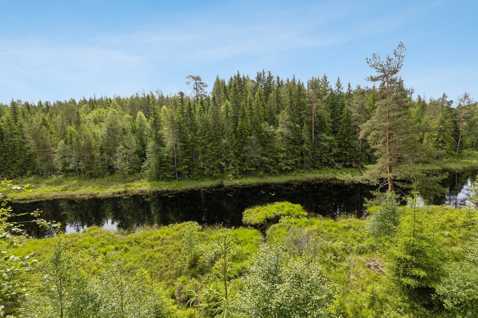 Koselig utsikt til vannet Dryuten Galleribilde