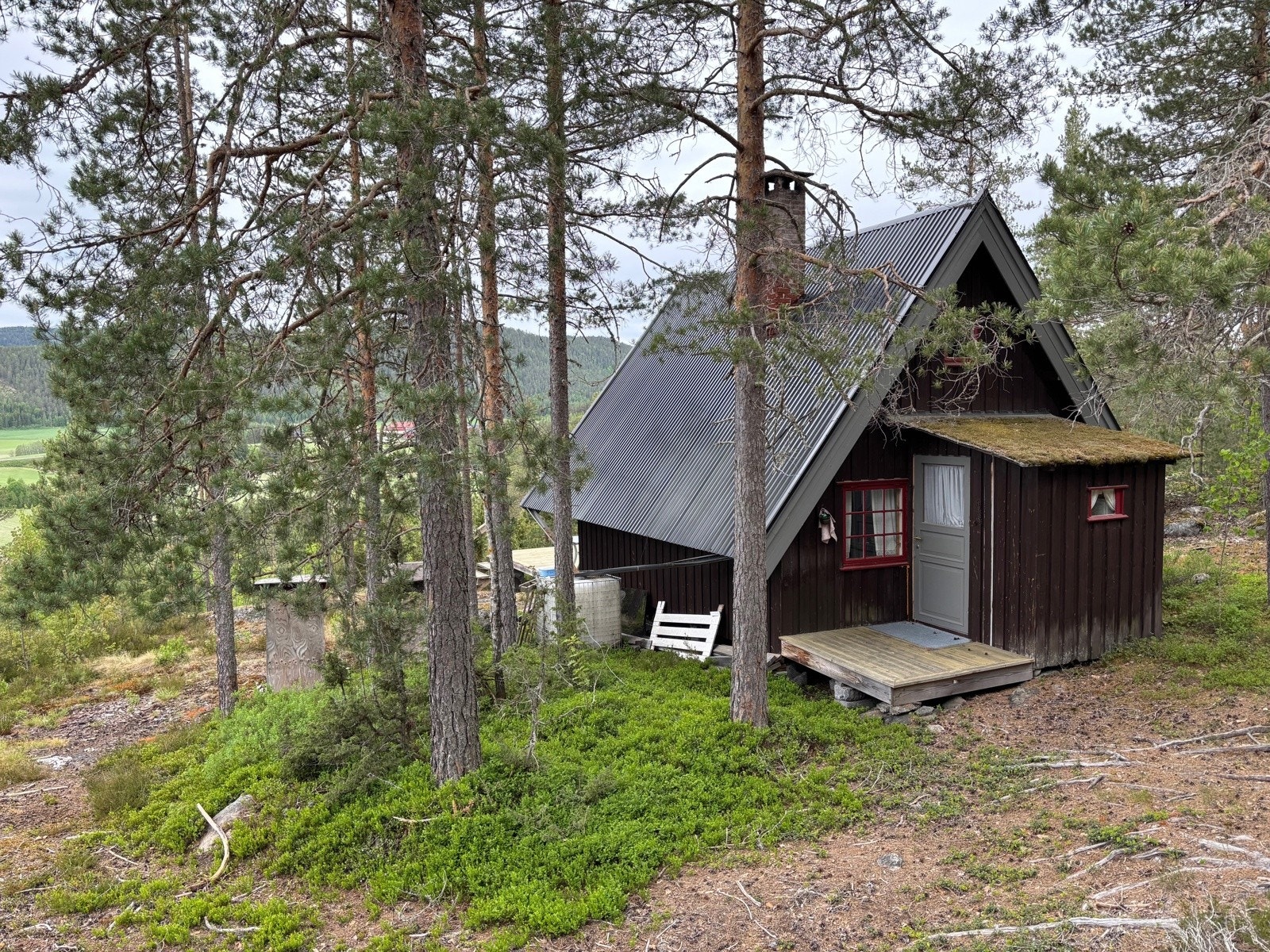 IMG_5340 Galleribilde