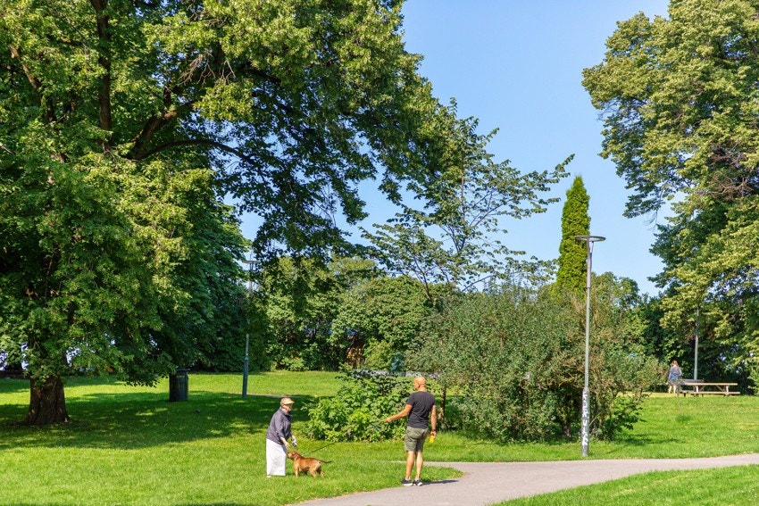 Fra boligen er det umiddelbar nærhet til flotte grøntarealer og turområder. Galleribilde