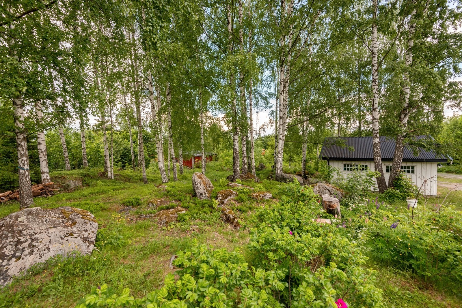 Hovedparten av bjørkeskog bak garasjen ligger inne på tomten som totalt er på ca 3 260 kvm Galleribilde