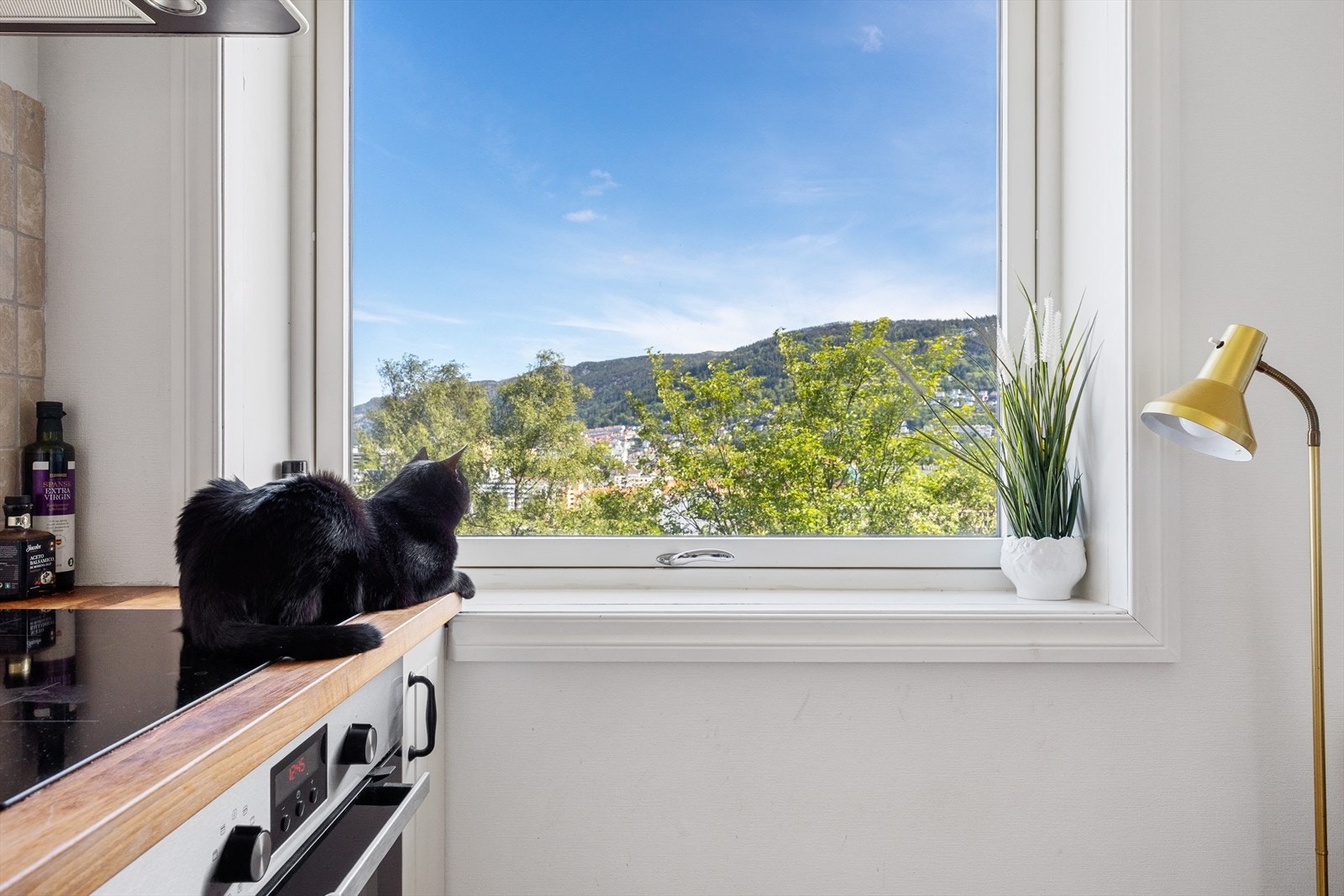 Utsikt fra kjøkken Galleribilde