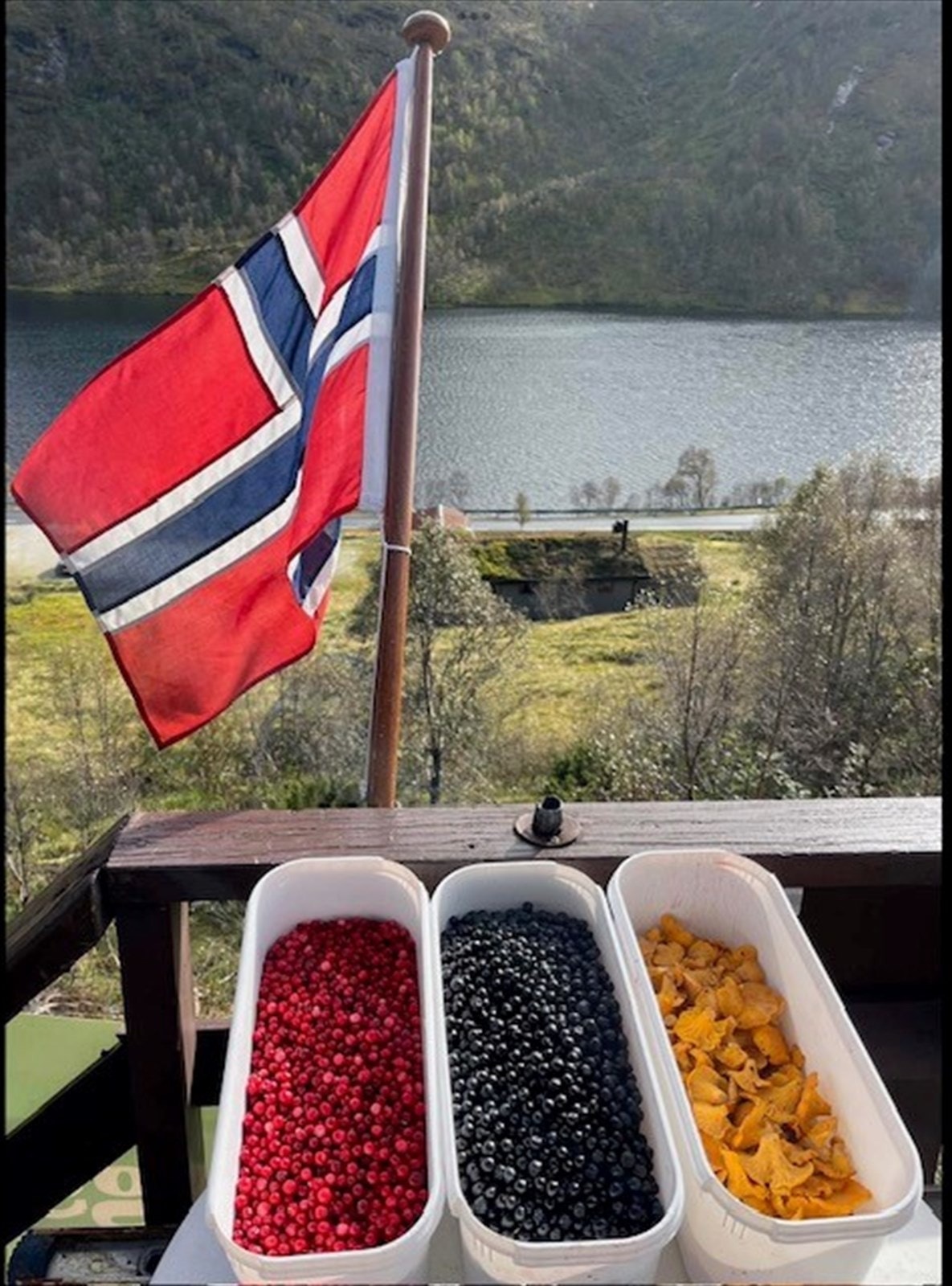 Mange muligheter for god bær og sopp i nærområdet. Galleribilde